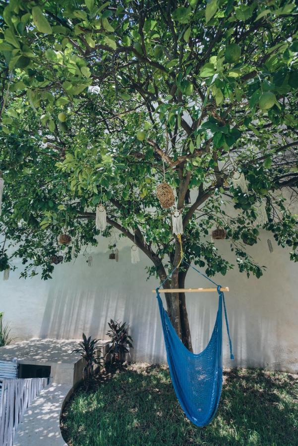 Villaboha Mérida Εξωτερικό φωτογραφία